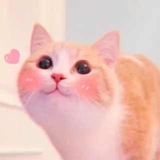 🍓 gato, lindo, animal, mascota, corazón, pegatina, dibujo animado telegram sticker