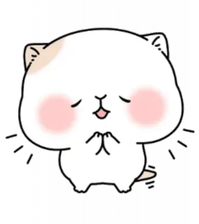 👏 chat, mignon, kawaii, autocollant, animal, dessin animé whatsapp sticker