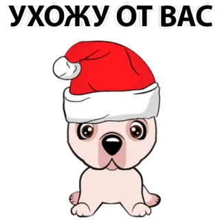 😕 УХОЖУ ОТ ВАС dog, christmas, santa hat, cute, pet, animal telegram sticker