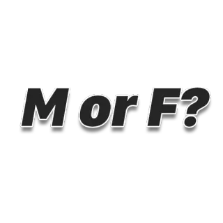 💁‍♂️ M or F? gender, question, male, female telegram sticker