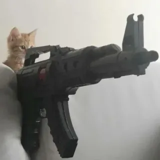 🔫 chat, chaton, animal, mignon, pistolet, pistolet jouet, animal de compagnie telegram sticker