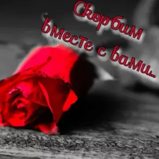 🔆 Скорбим вместе с вами... mawar, belasungkawa, simpati, duka, berkabung telegram sticker
