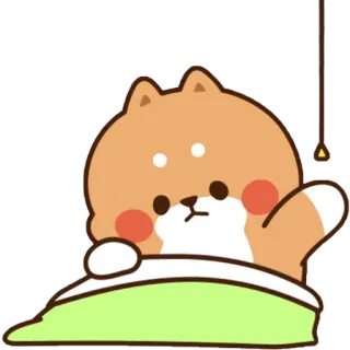😴 chó, dễ thương, động vật, kawaii, hoạt hình, nhãn dán telegram sticker