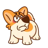 😒 собака, корги, животное, питомец, мультфильм, милый telegram sticker