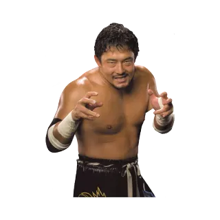 😆 Tajiri catcheur, japonais, arts martiaux, combattant telegram sticker