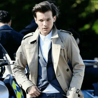 🌶 Louis Tomlinson célébrité, homme, personne, chanteur, trench-coat, style telegram sticker