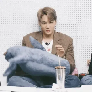 🥂 Kai idol, kpop, singer, dolphin, plush, casual, exo telegram sticker