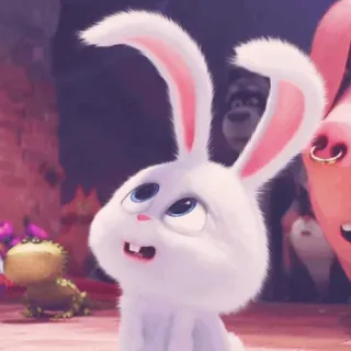 🎟 Snowball The Secret Life of Pets lapin, mignon, animal, animal de compagnie, film, bunny whatsapp sticker