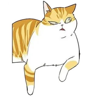 🤨 kucing, binatang, hewan peliharaan, imut, felidae telegram sticker