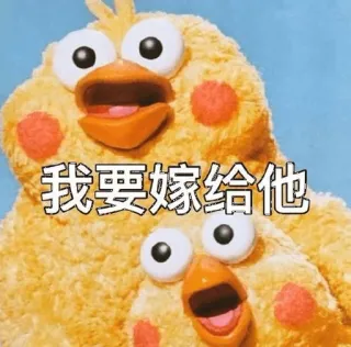 😻 我要嫁给他 chicken, birds, cartoon, meme telegram sticker