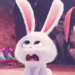 ☁️ Snowball The Secret Life of Pets lapin, mignon, animal, animé, animal de compagnie, film whatsapp sticker