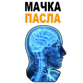 😊 МАЧКА ПАСЛА offensive, insult, slang, russian, brain telegram sticker