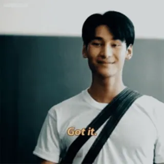 🔥 Got it. Mann, Verstanden, Lächeln, T-Shirt telegram sticker