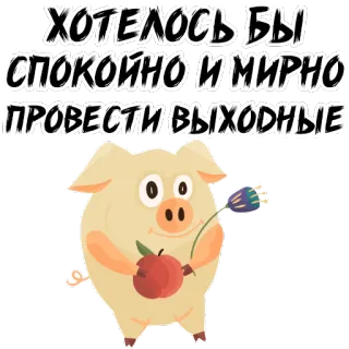 🐷 ХОТЕЛОСЬ БЫ СПОКОЙНО И МИРНО ПРОВЕСТИ ВЫХОДНЫЕ 돼지, 꽃, 사과, 주말, 휴식, 평온, 평화로운, 귀여운 whatsapp sticker