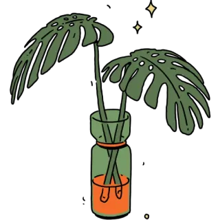 🌱 Monstera, Planta, Folhas, Vaso, Planta de interior, Tropical, Decoração telegram sticker