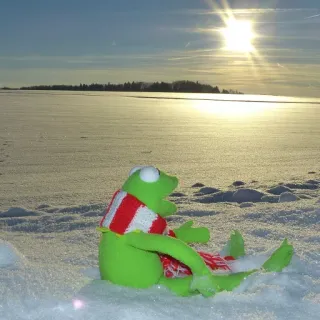❄️ Kermit the Frog 커밋, 개구리, 목도리, 눈, 겨울, 인형, 머펫 telegram sticker