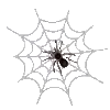 🕷