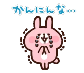 😥 かんにんな... coniglio, piangendo, anime, carino, kawaii, supplicante whatsapp sticker
