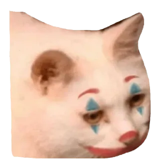 🤡 cat, clown, sad, makeup, meme telegram sticker