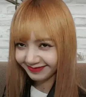 🌸 Lisa femme, personne, célébrité, chanteuse, kpop, lisa, blackpink telegram sticker