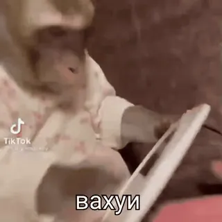 Больше стиков тут: @stikery4 whatsapp stickers