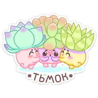 😚 ТЬМОК суккуленты, милые, растения, каваи, поцелуй, русский whatsapp sticker