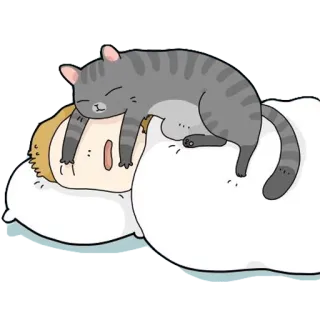😴 gato, dormindo, soneca, desenho animado, fofo, animal de estimação whatsapp sticker