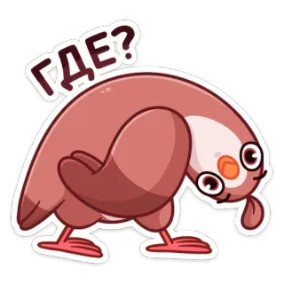 ❓ ГДЕ? bird, cute, sticker, question, cartoon, animal telegram sticker