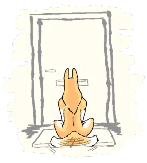 🚪 anjing, pintu, hewan, menunggu, hewan peliharaan, rumah telegram sticker