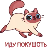 🐈