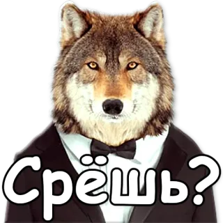 👀 Срёшь? loup, costume, autocollant, russe telegram sticker