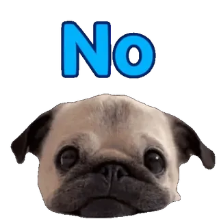 👎 No dog, pug, no, animal, cute telegram sticker