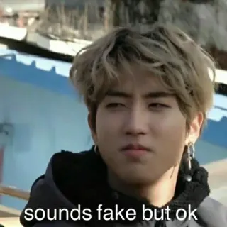 🧐 sounds fake but ok ミーム, 面白い, 引用, フレーズ whatsapp sticker