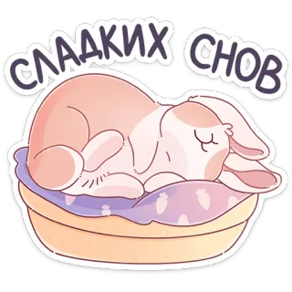 😴 СЛАДКИХ СНОВ bons sonhos, boa noite, coelho, dormindo, fofo, coelhinho whatsapp sticker