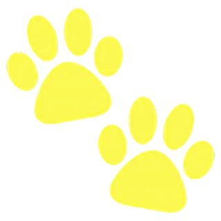 🐾