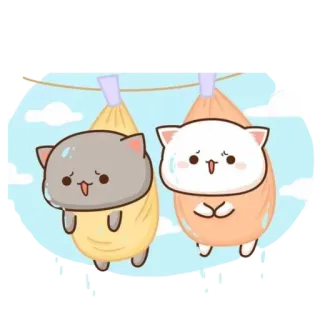 😢 cat, cute, kawaii, cartoon, animals, hanging whatsapp sticker