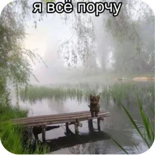 😢 Я всё порчу 猫, 湖, 自然, 霧, ドック, ロシア語のテキスト telegram sticker