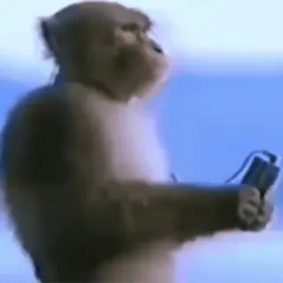 🎧 Monkey Sony Walkman Commercial telegram sticker
