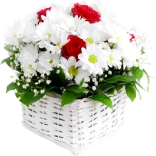 ✨ @Loveoops ✨ : Flower5 telegram stickers