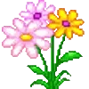 💐