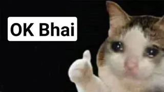 🤔 Crying Cat OK Bhai whatsapp sticker