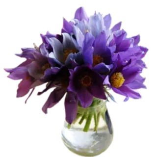 🌺 flowers, purple flowers, vase, floral, plant, bouquet telegram sticker