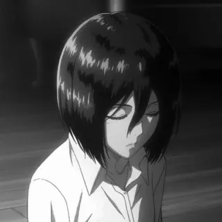 🗡 Mikasa Ackerman Attack on Titan anime, attack on titan, mikasa ackerman, personagem, preto e branco, triste telegram sticker