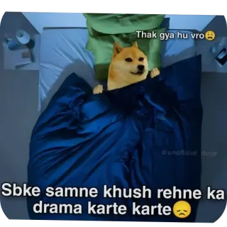 🥲 Doge Doge Meme Thak gya hu vro. Sbke samne khush rehne ka drama karte karte telegram sticker