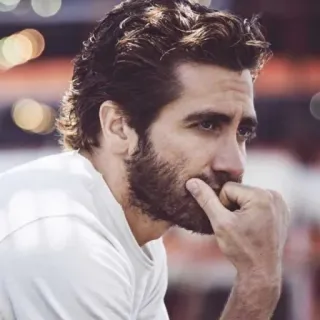 ⭐️ Jake Gyllenhaal Schauspieler, Promi, Porträt, Mann telegram sticker