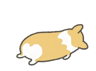 💀 hond, corgi, dier, huisdier whatsapp sticker
