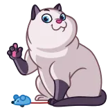 🐈 chat, animal, dessin animé, animal de compagnie, mignon, félin whatsapp sticker
