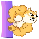 👀 doge, gespierd, cartoon, grappig, meme, sticker whatsapp sticker