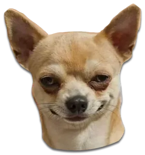 DontBeDog telegram stickers
