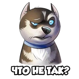 😕 ЧТО НЕ ТАК? husky, chó, khó chịu, hoạt hình telegram sticker
